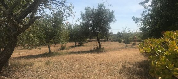 Villa de 4 dormitorios en Silves, Portugal No. 118331 9