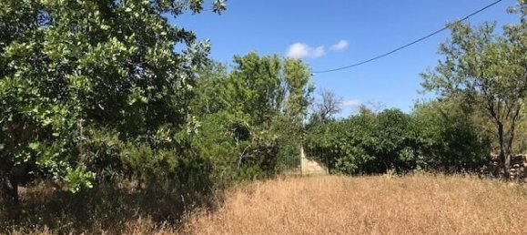 Villa de 4 dormitorios en Silves, Portugal No. 118331 35