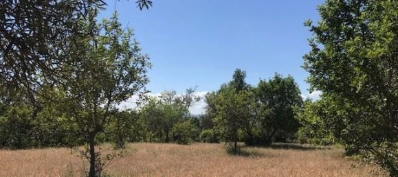 Villa de 4 dormitorios en Silves, Portugal No. 118331 38