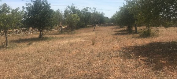 Villa de 4 dormitorios en Silves, Portugal No. 118331 37