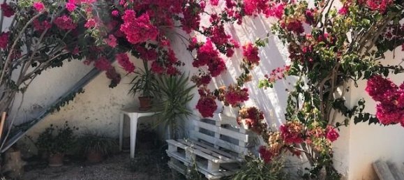 Villa de 4 dormitorios en Silves, Portugal No. 118331 7