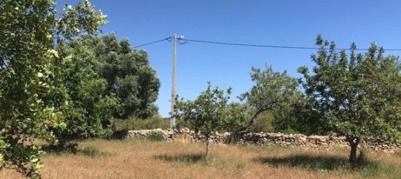 Villa de 4 dormitorios en Silves, Portugal No. 118331 40