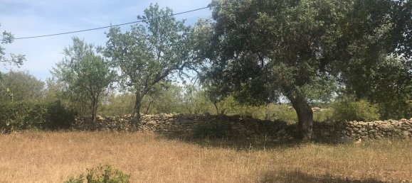 Villa de 4 dormitorios en Silves, Portugal No. 118331 31