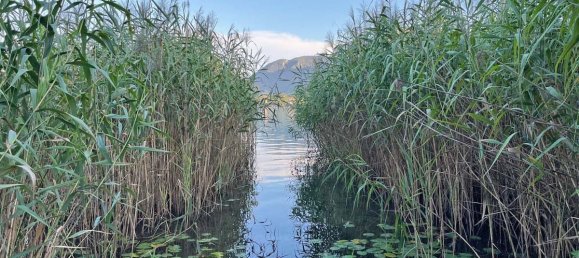  قطعة أرض في Mondsee, Austria رقم 86559 2