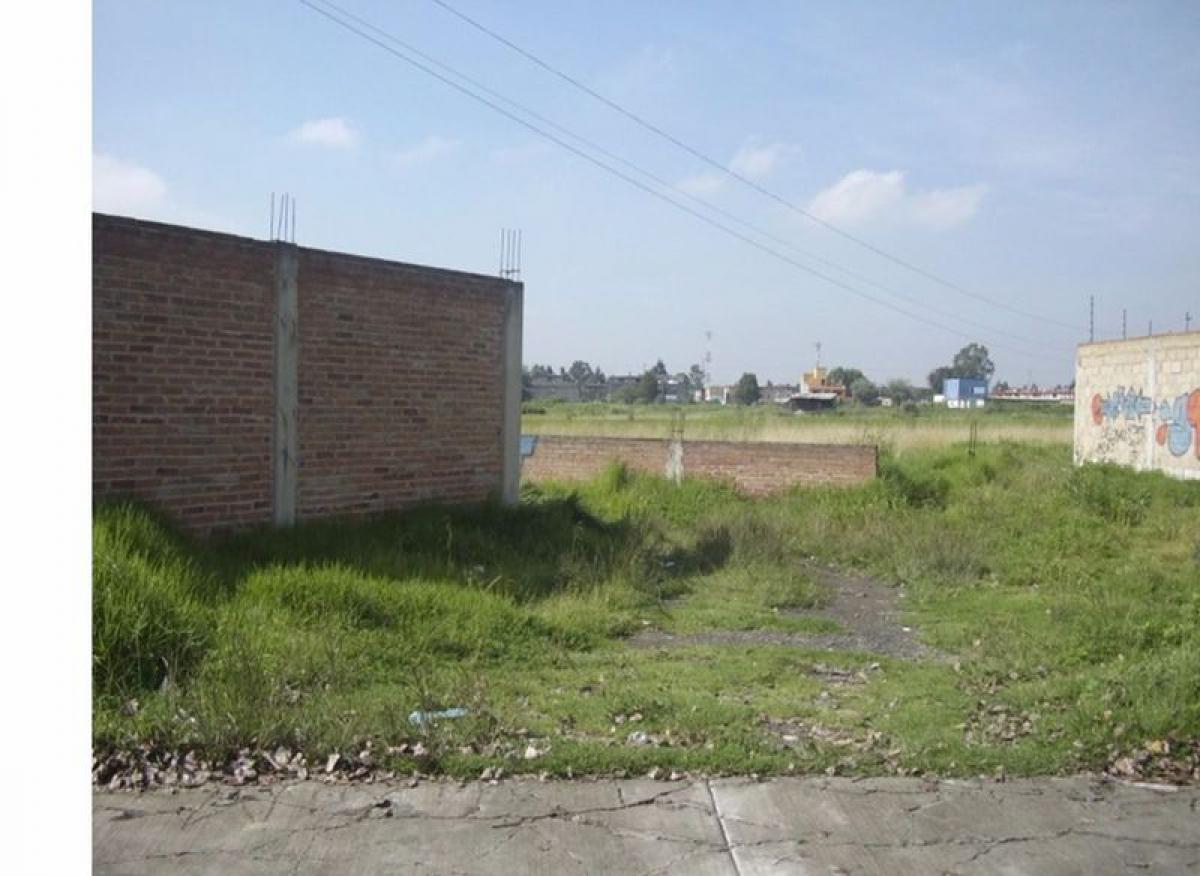  قطعة أرض في Mexico رقم 204269