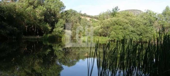 8 bedrooms House in Madrid, Spain No. 101703 3