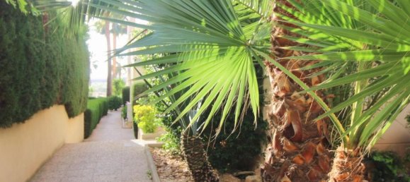 3 bedrooms Apartment in Torrevieja, Spain No. 175829 8