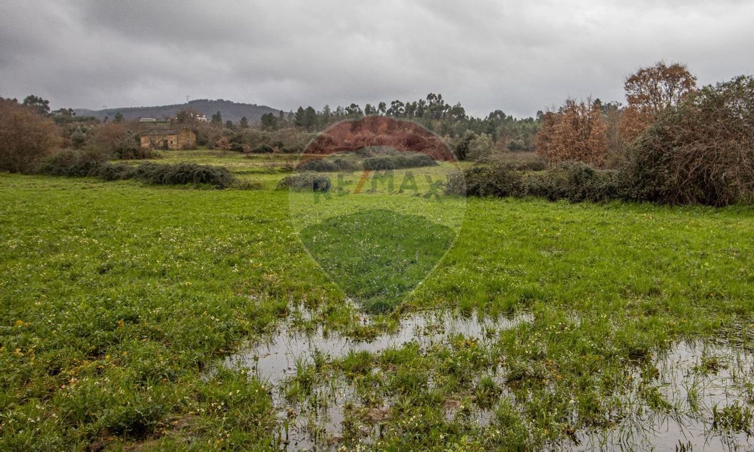 1 bedroom House in Caria, Portugal No. 67980