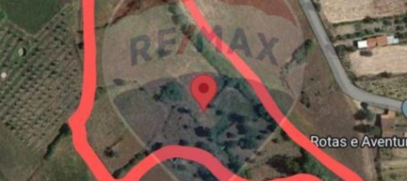 1 bedroom House in Caria, Portugal No. 67980 7