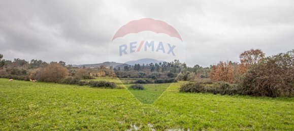1 bedroom House in Caria, Portugal No. 67980 3