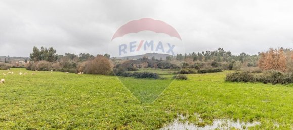 1 bedroom House in Caria, Portugal No. 67980 2