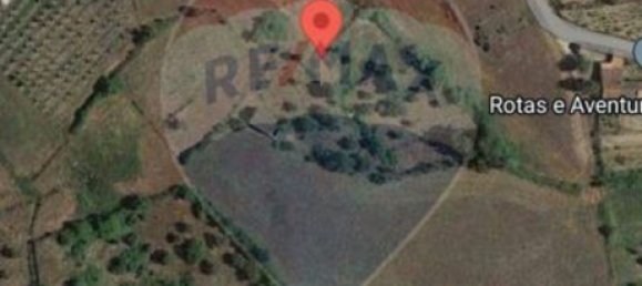 1 bedroom House in Caria, Portugal No. 67980 8