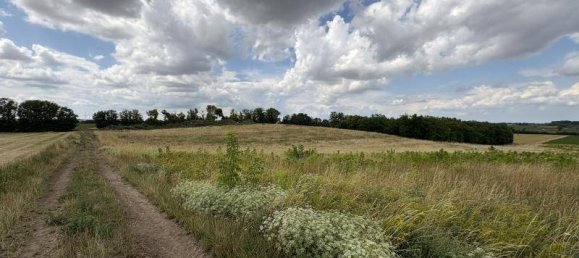 2444m² Land in Ringelsdorf-Niederabsdorf, Austria No. 251462 3