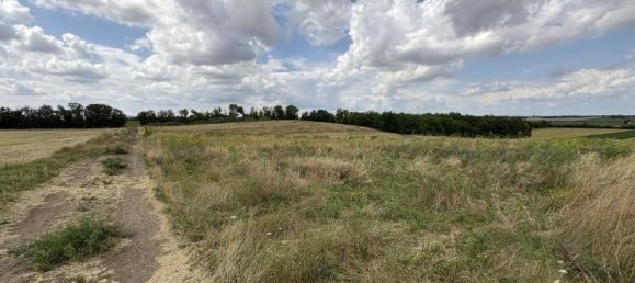 2444m² Land in Ringelsdorf-Niederabsdorf, Austria No. 251462 5