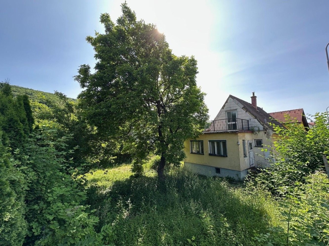  Land in Penzing, Austria No. 133517
