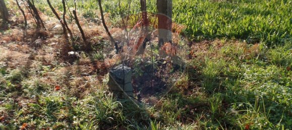 608m² Land in Turiz, Portugal No. 35429 8