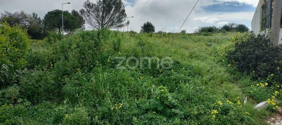 543m² Land in Cascais, Portugal No. 85803 5