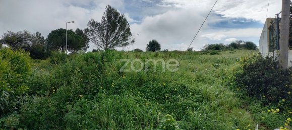 543m² Land in Cascais, Portugal No. 85803 4