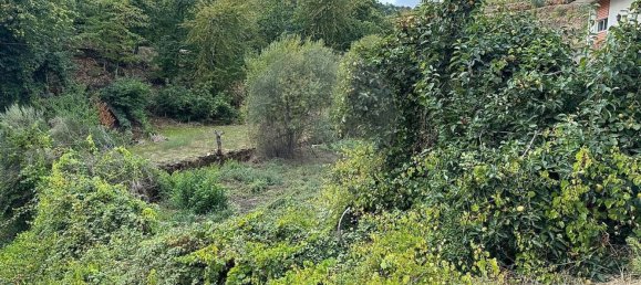 3 Schlafzimmer Haus in Tabuaco, Portugal, Nr. 164432 17