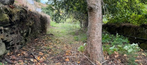 3 Schlafzimmer Haus in Tabuaco, Portugal, Nr. 164432 7