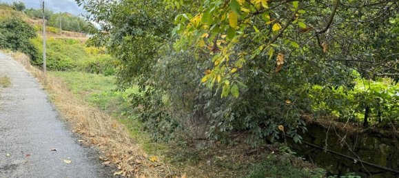 3 Schlafzimmer Haus in Tabuaco, Portugal, Nr. 164432 8