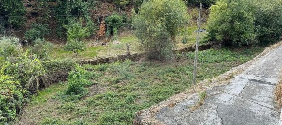 3 Schlafzimmer Haus in Tabuaco, Portugal, Nr. 164432 15