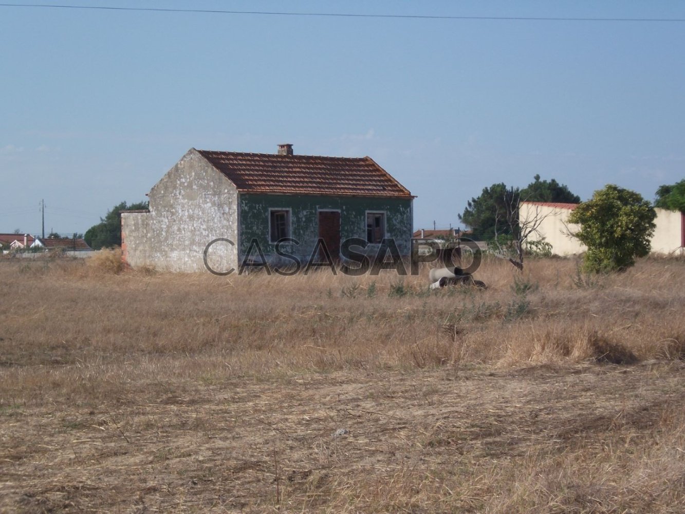 Terrain à Salvaterra de Magos, Portugal No. 346079