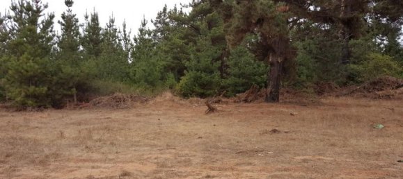 قطعة أرض في Valparaiso, Chile رقم 1070 2