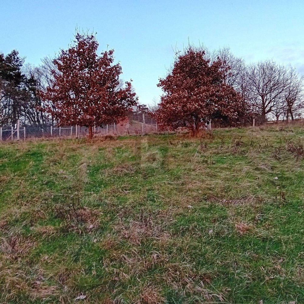 Terreno en Bernkastel-Wittlich, Germany No. 237636