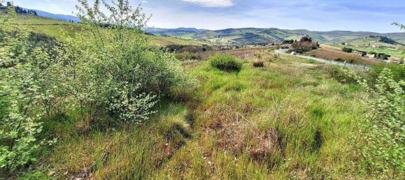 Propriété commerciale à Greve in Chianti, Italy 14809m² No. 337769 11