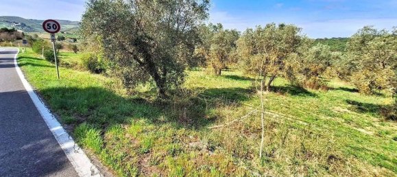 Propriété commerciale à Greve in Chianti, Italy 14809m² No. 337769 15