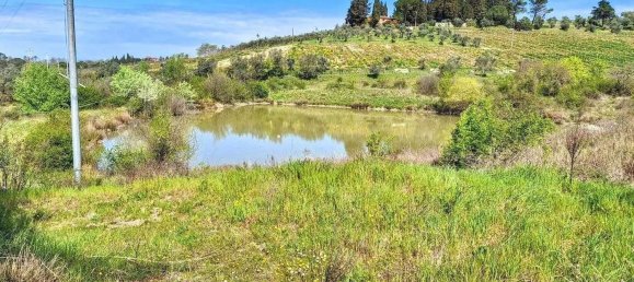 Propriété commerciale à Greve in Chianti, Italy 14809m² No. 337769 12