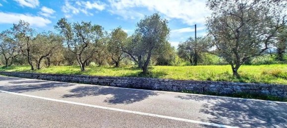 Propriété commerciale à Greve in Chianti, Italy 14809m² No. 337769 16