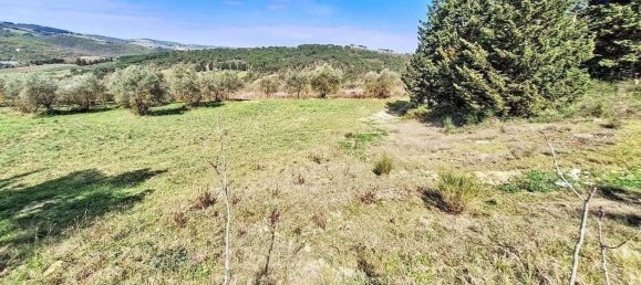 Propriété commerciale à Greve in Chianti, Italy 14809m² No. 337769 13