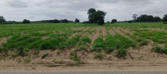  قطعة أرض في Rayong, Thailand 104000متر مربع رقم 74444 5