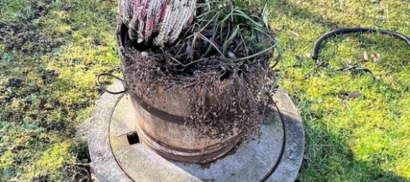 4-salle Bungalow à Burgenlandkreis, Germany No. 69155 5