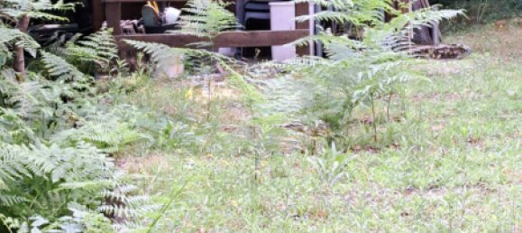 3 Schlafzimmer Haus in Pianello del Lario, Italy, Nr. 142835 49