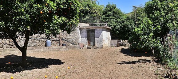 5 bedrooms House in Peso da Regua, Portugal No. 21244 24