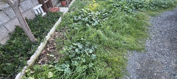 6 rooms Apartment in Cecina, Italy No. 82852 21