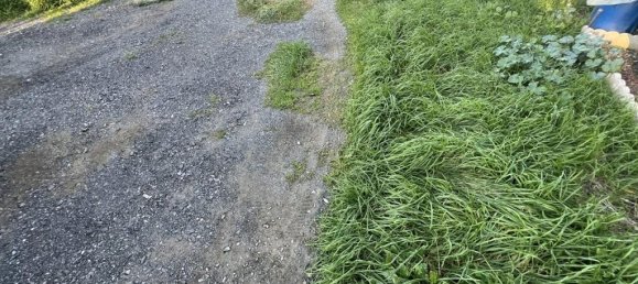 6 rooms Apartment in Cecina, Italy No. 82852 20