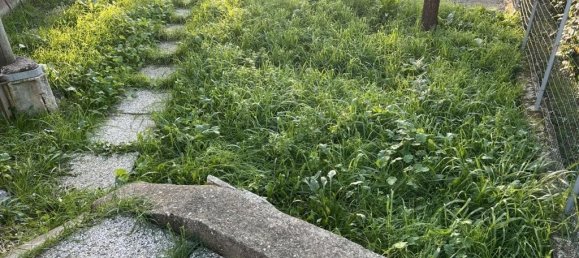 6 rooms Apartment in Cecina, Italy No. 82852 22