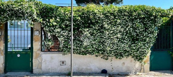 7 rooms House in Pozzuoli, Italy No. 23853 7