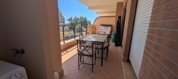 1 chambre Appartement à Pomezia, Italy No. 307419 22