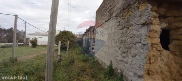 2 Schlafzimmer Haus in Ferreira a Nova, Portugal, Nr. 32400 5