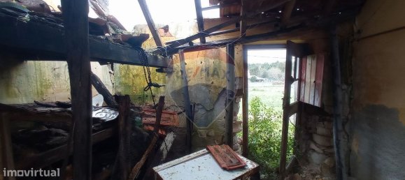 2 Schlafzimmer Haus in Ferreira a Nova, Portugal, Nr. 32400 26