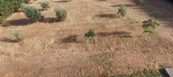 Коммерческая недвижимость с 4 спальнями в Пиерия, Греция № 2871 19