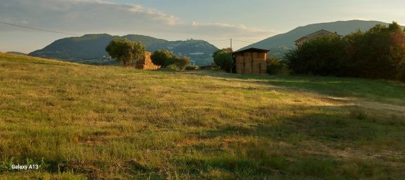 5 bedrooms House in Arcevia, Italy No. 296208 31