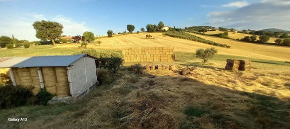 5 bedrooms House in Arcevia, Italy No. 296208 25