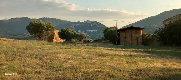 5 bedrooms House in Arcevia, Italy No. 296208 34