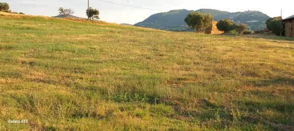 5 bedrooms House in Arcevia, Italy No. 296208 33